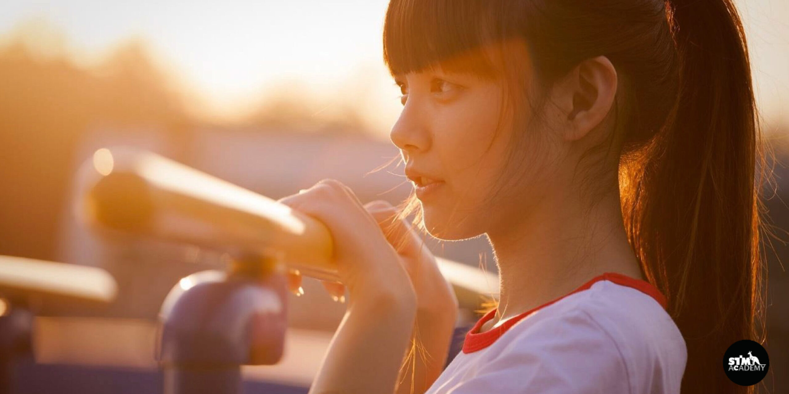 ฟิลเตอร์ Haida