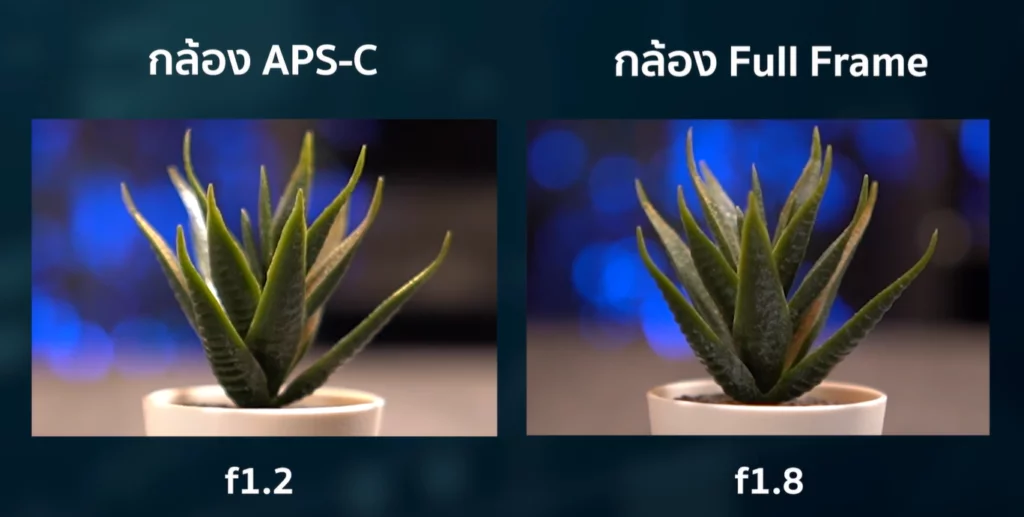 SNIPER SERIES: วิธีการคำนวนรูรับแสง บนเลนส์ต่างชนิด เทียบกับ Full Frame 4 image 2024 07 15T174257.914