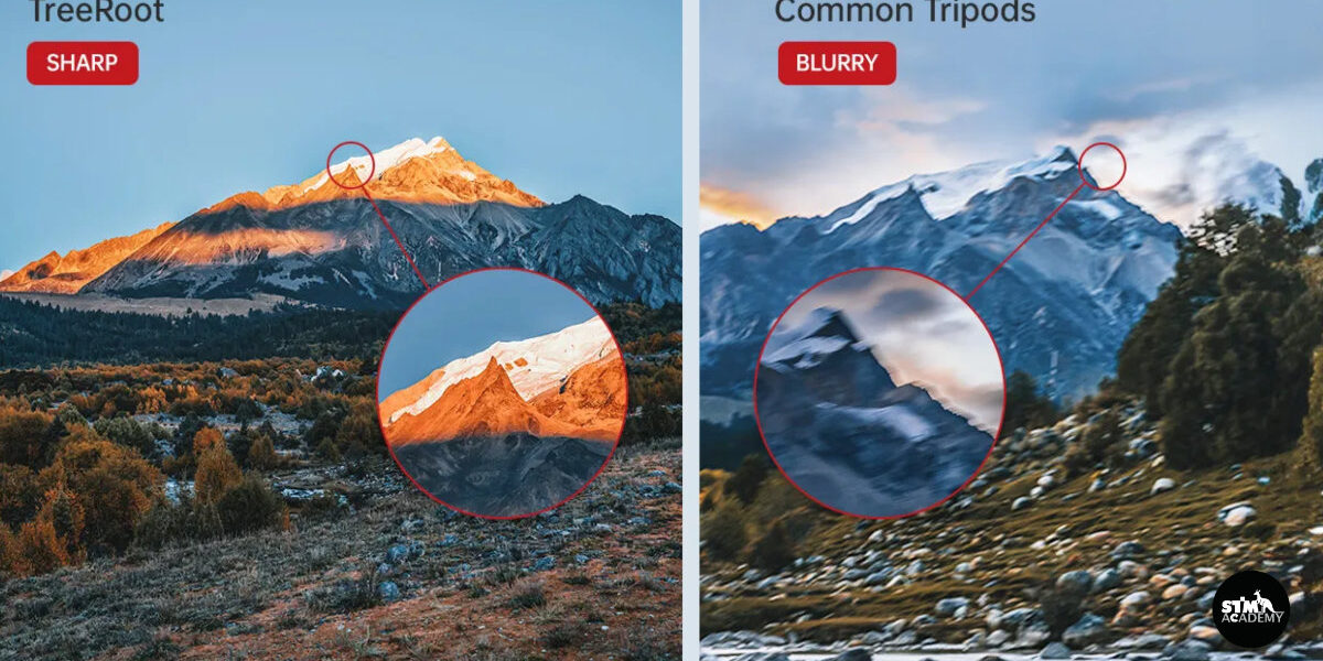 why-traveler-use-falcam-treeroot-tripod