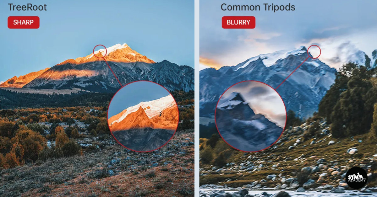 why-traveler-use-falcam-treeroot-tripod