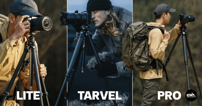 เปรียบเทียบ TreeRoot ทั้ง 3 รุ่น